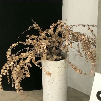 雷山FurryQQ群介绍